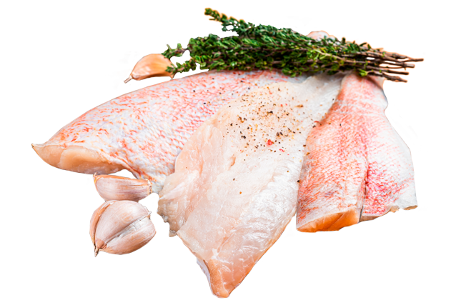Productos frescos del día en la pescadería de elda